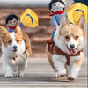 Matador Bullfighter Universal Pet Costume