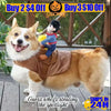 Matador Bullfighter Universal Pet Costume